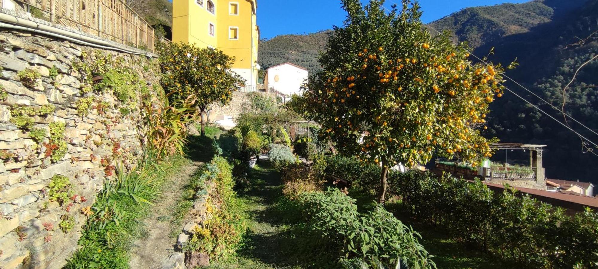 Casa Pablo Villa Badalucco Eksteriør billede