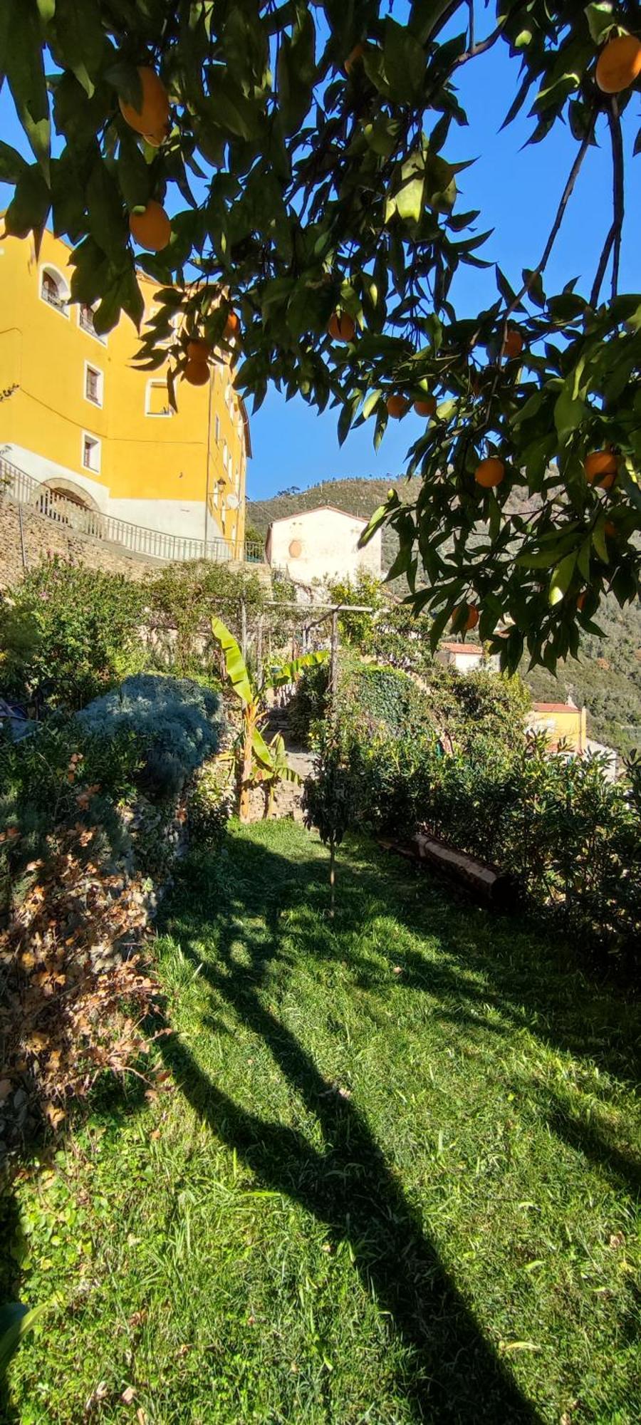 Casa Pablo Villa Badalucco Eksteriør billede