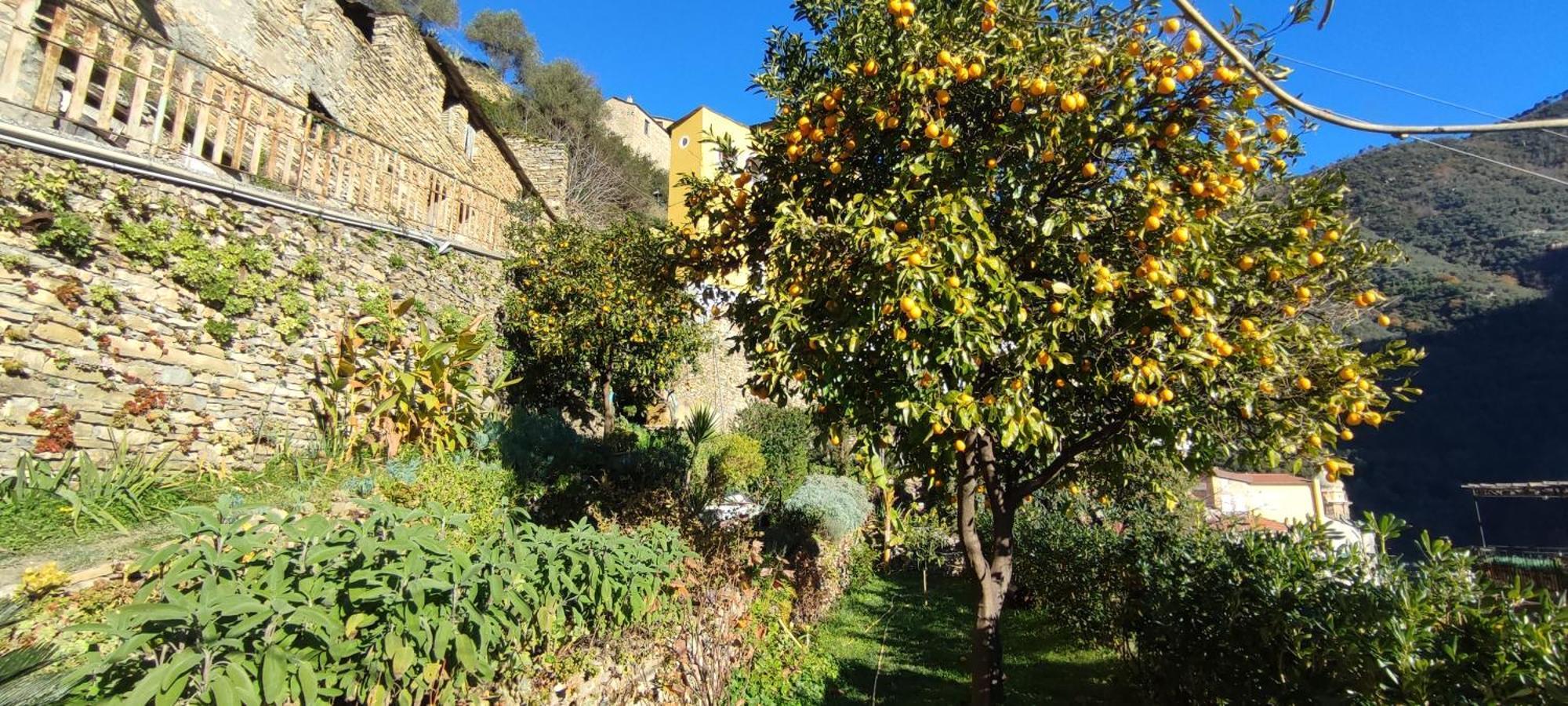 Casa Pablo Villa Badalucco Eksteriør billede