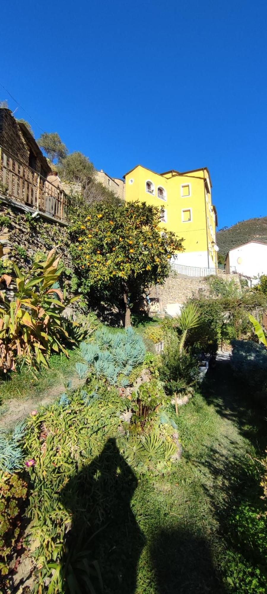 Casa Pablo Villa Badalucco Eksteriør billede